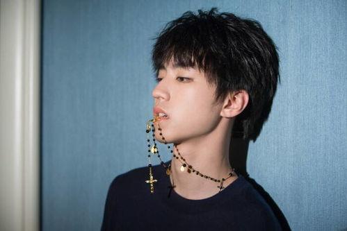 娱乐吃瓜蜀黍王俊凯小说